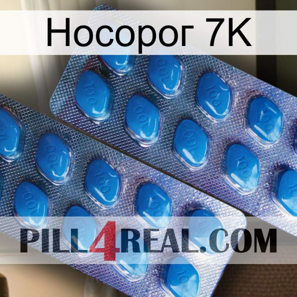 Носорог 7K viagra2.jpg